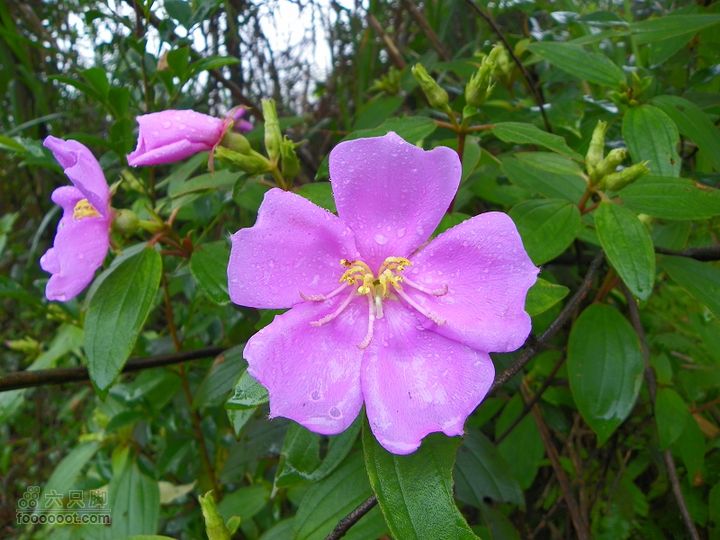 鼓岭牛头寨－南洋村－白眉水库2012_0616_142855