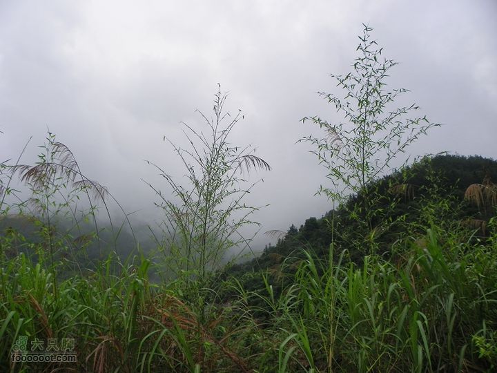 鼓岭牛头寨－南洋村－白眉水库2012_0616_144152