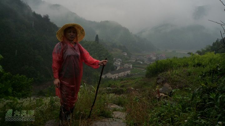 探秘徽开古道-----泰厦到白际徒步穿越P1100830