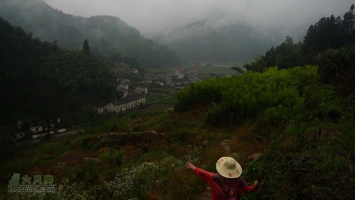 探秘徽开古道-----泰厦到白际徒步穿越P1100835