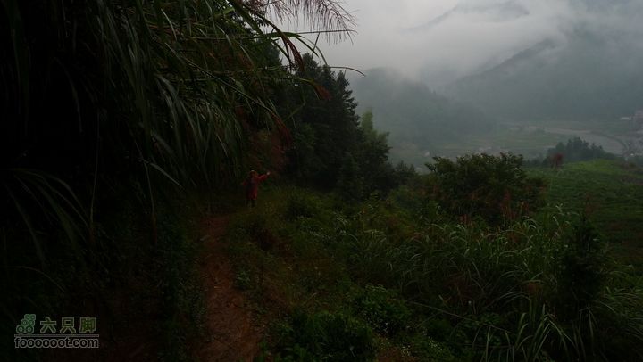 探秘徽开古道-----泰厦到白际徒步穿越P1100829