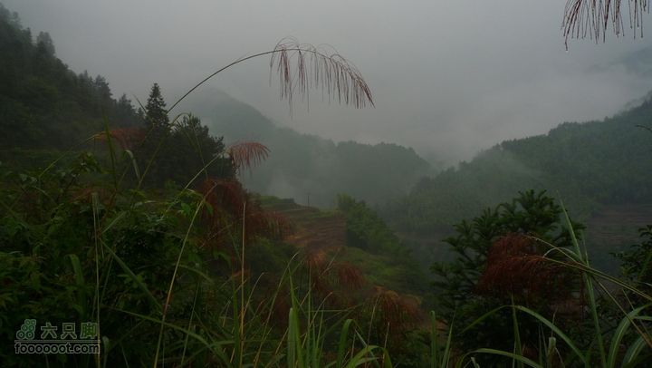 探秘徽开古道-----泰厦到白际徒步穿越P1100819