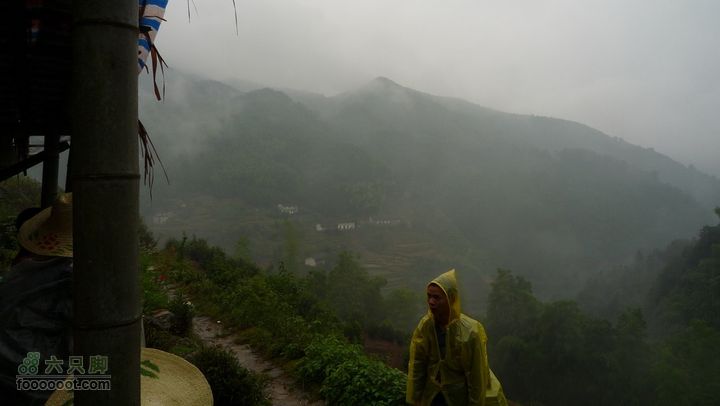 探秘徽开古道-----泰厦到白际徒步穿越P1100821