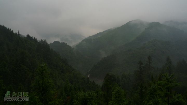 探秘徽开古道-----泰厦到白际徒步穿越P1100822