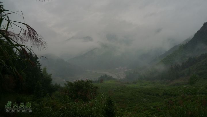 探秘徽开古道-----泰厦到白际徒步穿越P1100826