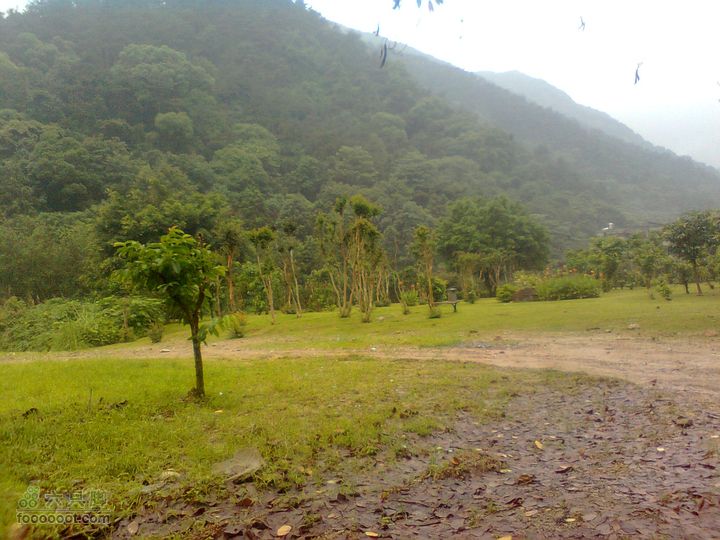 福州 雨中的森林公园图像0892