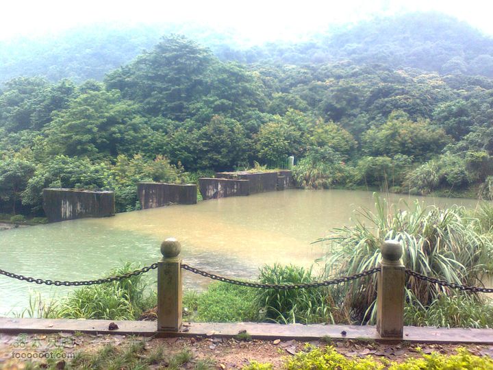 福州 雨中的森林公园图像0893