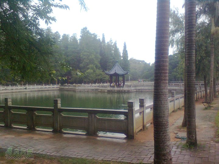 福州 雨中的森林公园图像0900