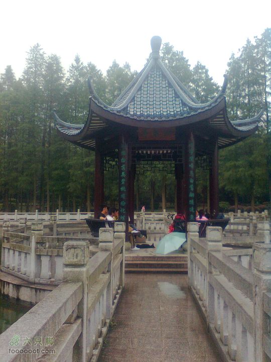 福州 雨中的森林公园图像0901