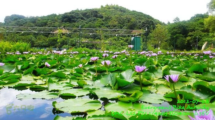 2012 07 08 荃錦坳、清快塘、吉慶橋、四排石山P1470812