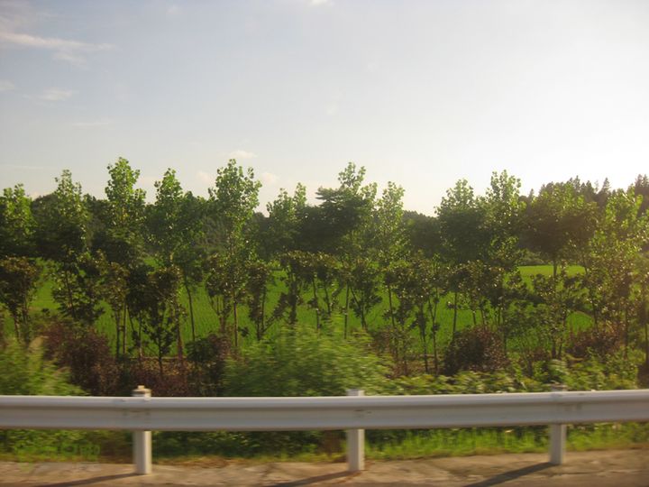 2012-7-6九江汽车站-景德镇人民广场如家IMG_0394