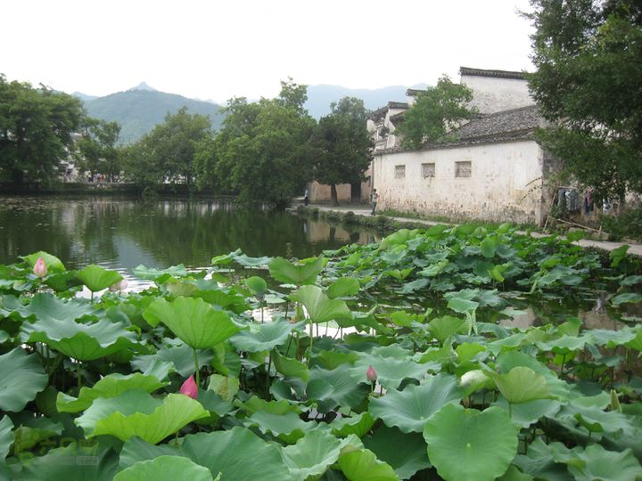 2012-7-8宏村自游IMG_0138