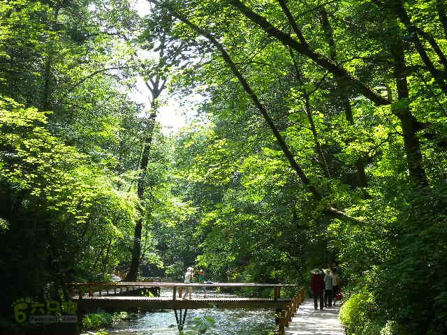 龙湾行DSCN0099