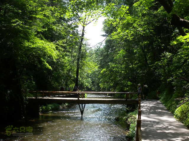 龙湾行DSCN0101