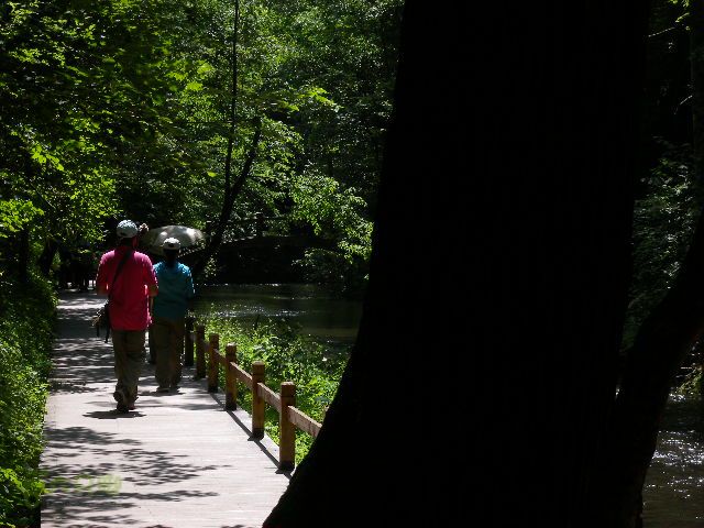 龙湾行DSCN0107