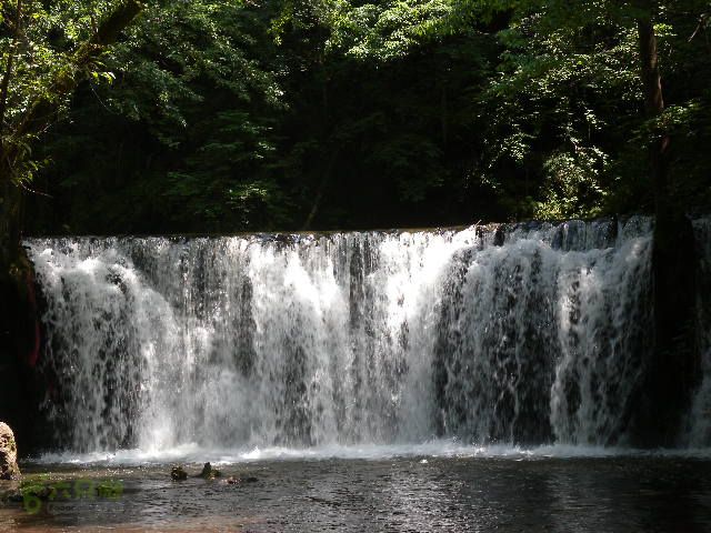 龙湾行DSCN0117