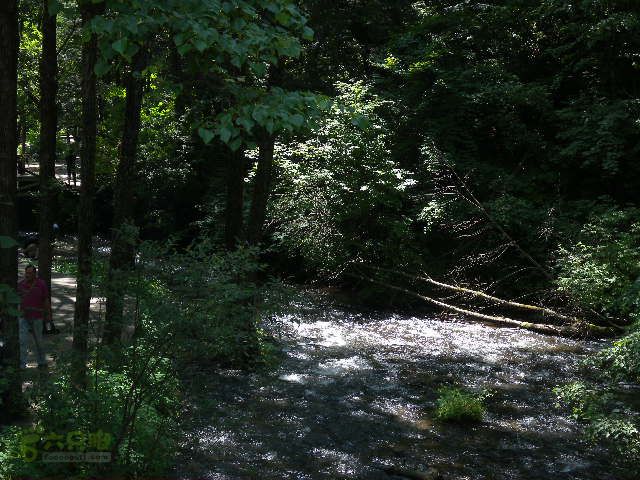 龙湾行DSCN0149