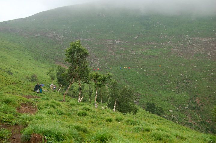茶山赏金莲花之一：南骆驼庵－茶山队伍在山腰中前行