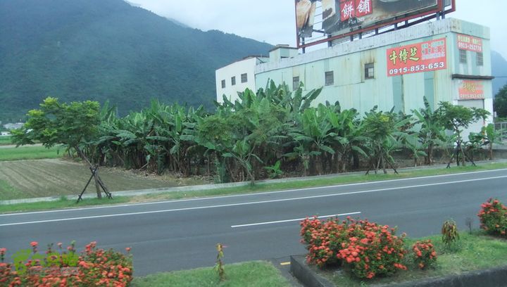 台湾八日游之二DSCF8731