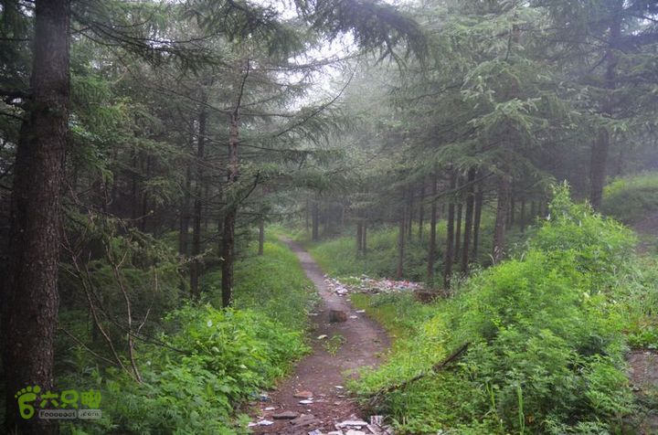 东佛沟-高山草甸-东平沟DSC_0262