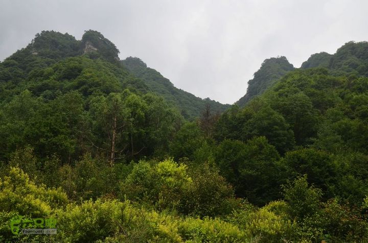 东佛沟-高山草甸-东平沟DSC_0011