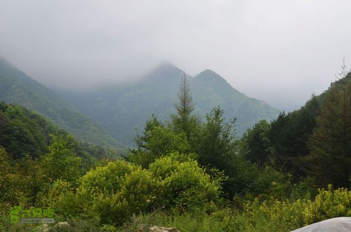 东佛沟-高山草甸-东平沟DSC_0014