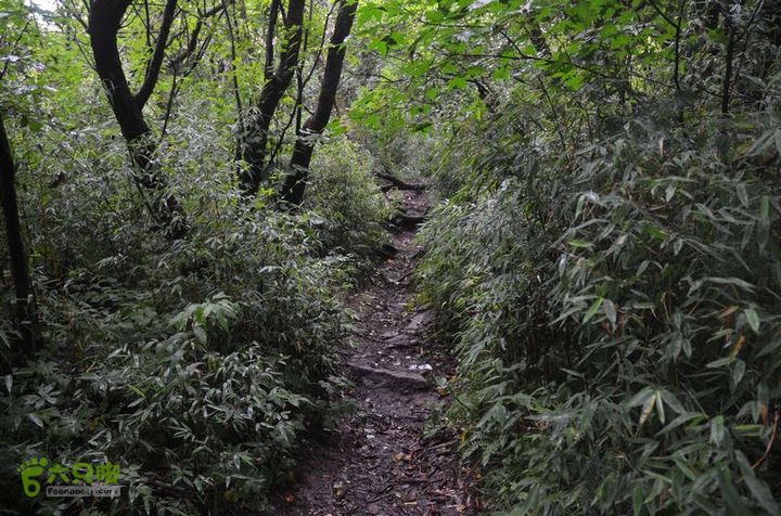 东佛沟-高山草甸-东平沟DSC_0108