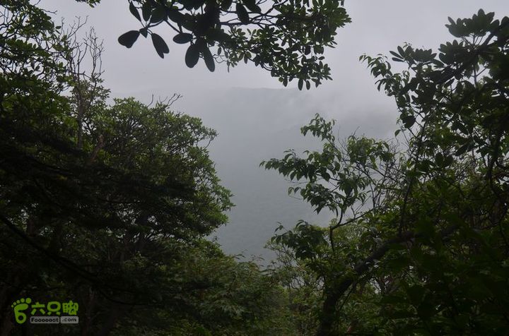 东佛沟-高山草甸-东平沟DSC_0122