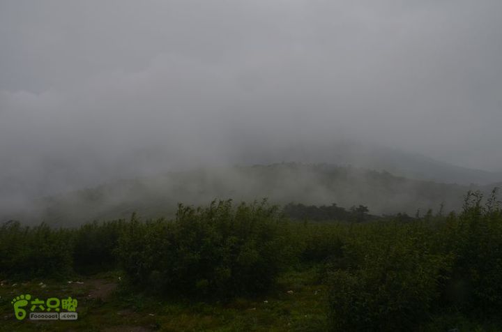东佛沟-高山草甸-东平沟DSC_0132