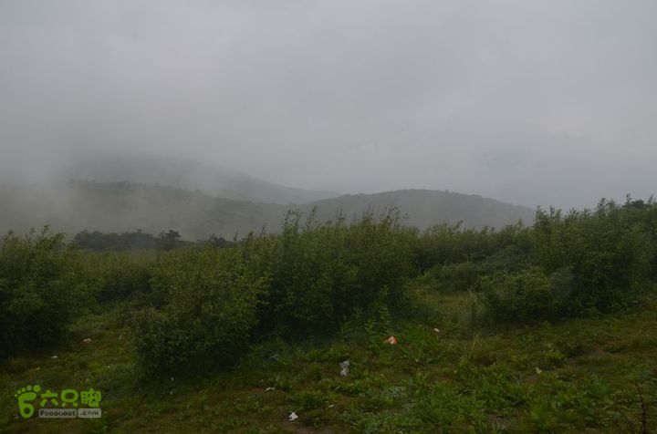 东佛沟-高山草甸-东平沟DSC_0133