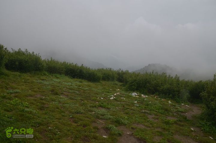 东佛沟-高山草甸-东平沟DSC_0134