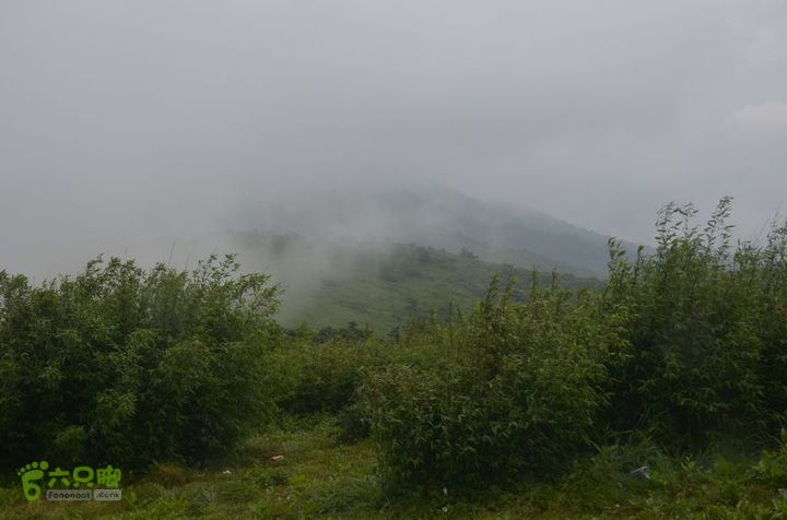 东佛沟-高山草甸-东平沟DSC_0136