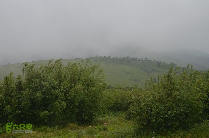 东佛沟-高山草甸-东平沟DSC_0138