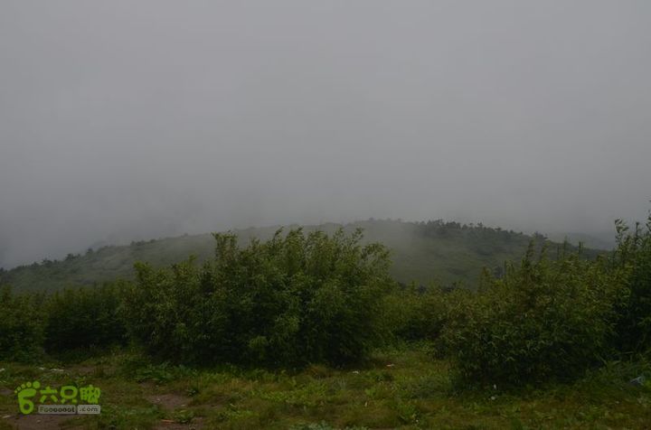 东佛沟-高山草甸-东平沟DSC_0140