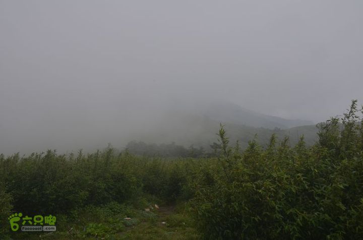 东佛沟-高山草甸-东平沟DSC_0144