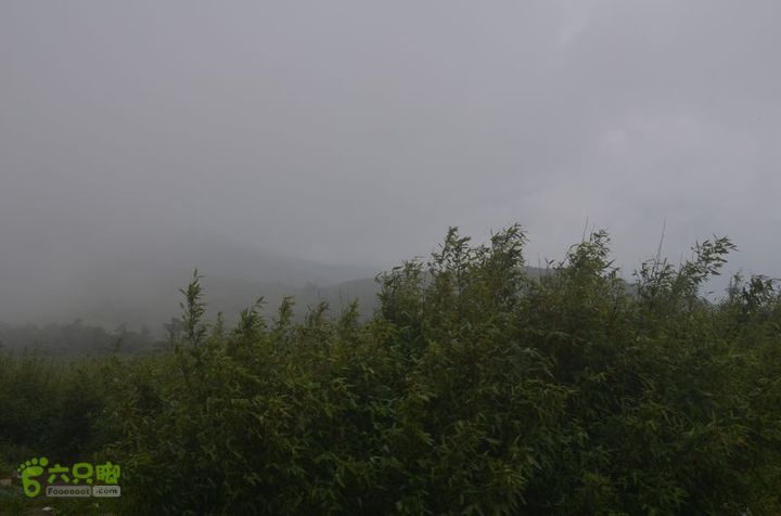 东佛沟-高山草甸-东平沟DSC_0145