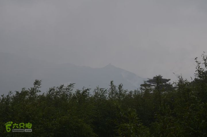 东佛沟-高山草甸-东平沟DSC_0146