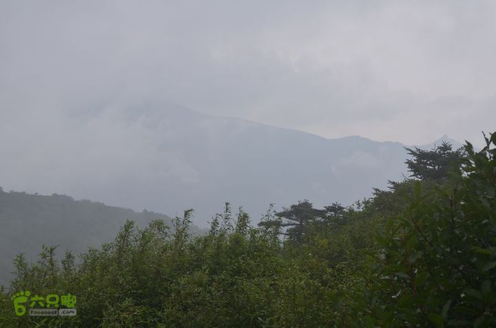 东佛沟-高山草甸-东平沟DSC_0149