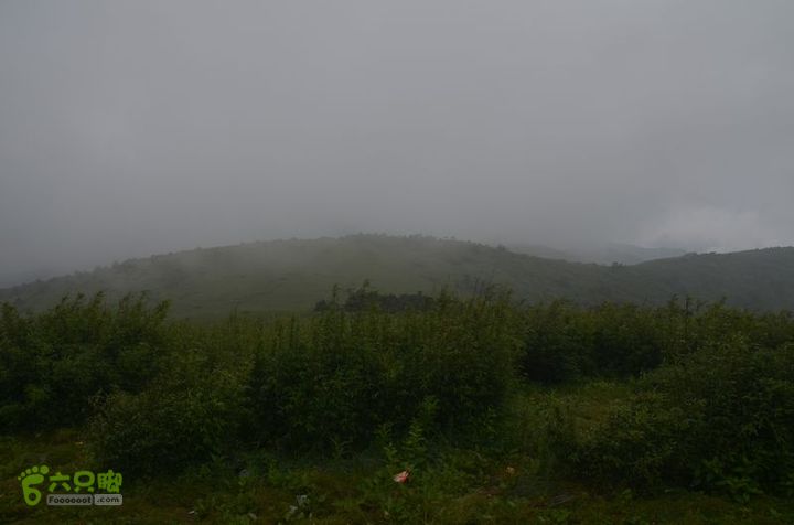 东佛沟-高山草甸-东平沟DSC_0150