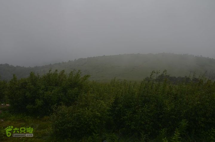 东佛沟-高山草甸-东平沟DSC_0152