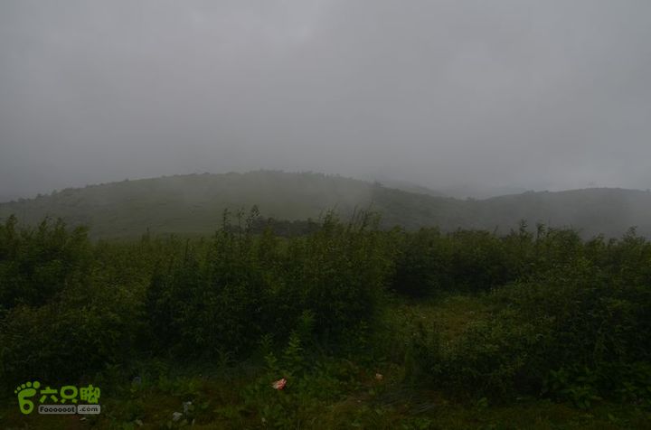 东佛沟-高山草甸-东平沟DSC_0153