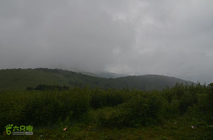 东佛沟-高山草甸-东平沟DSC_0156