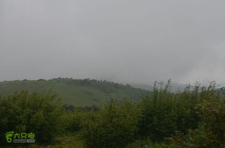 东佛沟-高山草甸-东平沟DSC_0157
