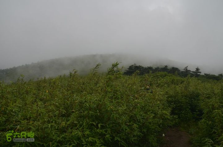 东佛沟-高山草甸-东平沟DSC_0159