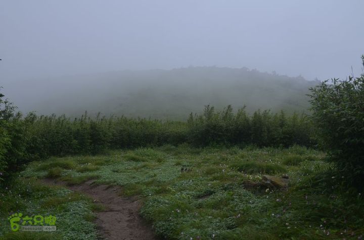 东佛沟-高山草甸-东平沟DSC_0163