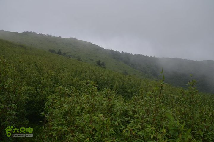 东佛沟-高山草甸-东平沟DSC_0171