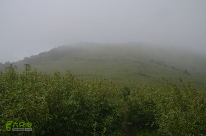 东佛沟-高山草甸-东平沟DSC_0172