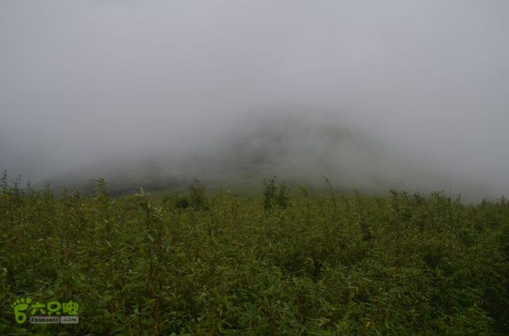 东佛沟-高山草甸-东平沟DSC_0173