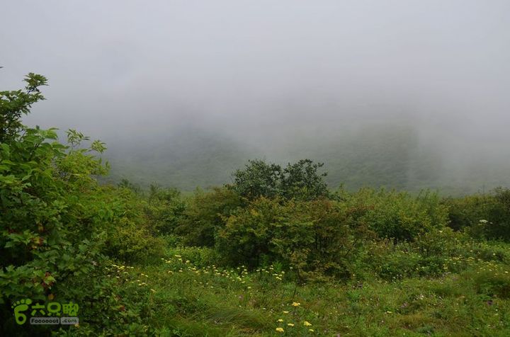东佛沟-高山草甸-东平沟DSC_0187