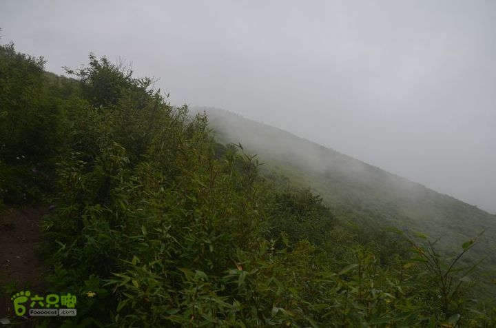 东佛沟-高山草甸-东平沟DSC_0196